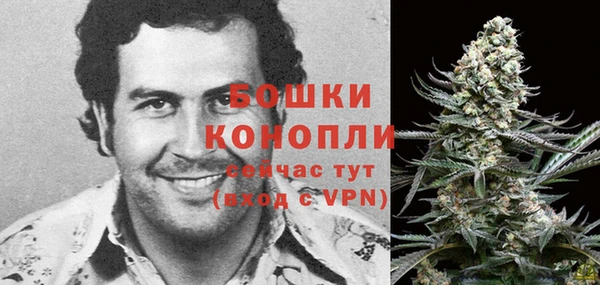 молекула духа Нефтегорск