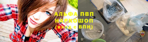 прущие грибы Нязепетровск